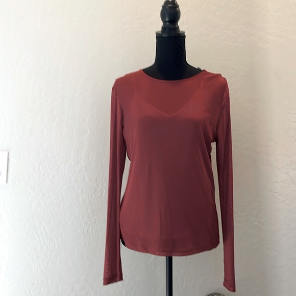 Rebecca Minkoff Sheer rose Long Sleeve Top Medium - Picture 2 of 6